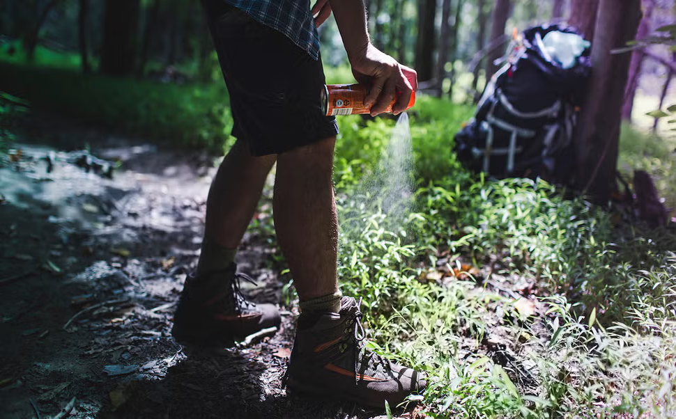 Is DEET Really Your Best Choice? 