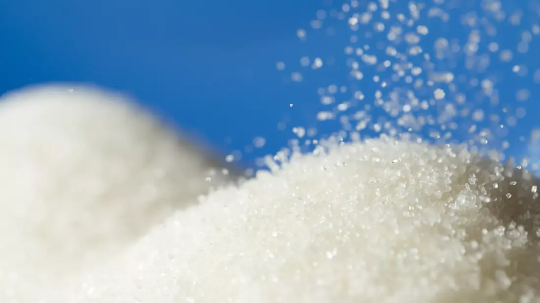 What You Should Know About Sugar Alcohols