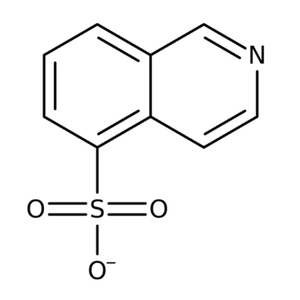 5-Isoquinolinesulfonic Acid